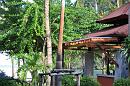 img_2520 * 1200 x 800 * (215KB)