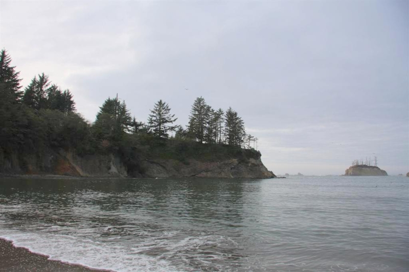 img_1379_ct.jpg